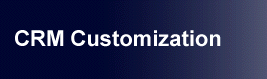 Solutions 2000! : CRM Customization